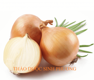 Củ Hành Tây – Giá Bao Tiền 1kg?