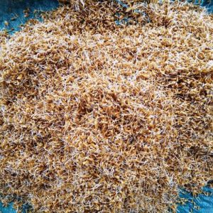 Mầm cây lúa trị ăn không tiêu, biếng ăn, bao tử không tiêu hóa được chất bột.