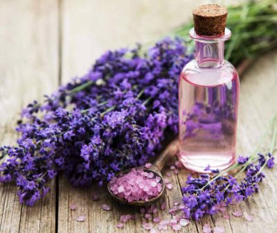Hoa lavender giúp làn da trở nên mềm mại và chống oxi hóa.