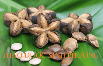 Hạt Inca Nuts