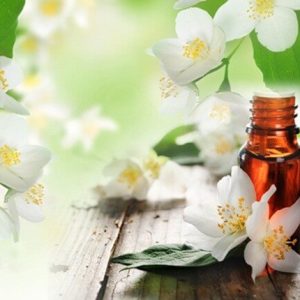 Tinh dầu hoa nhài dùng để massage body, massage mặt